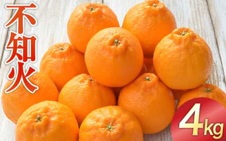 不知火（しらぬい）約4kg みかん ミカン 蜜柑 果物 フルーツ 不知火【2026年3月下旬～4月下旬発送予定】