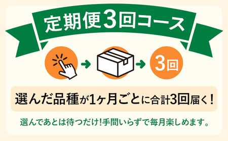 定期便3回 米 令和７年産 無洗米 選べる 元気つくし 5kg 定期便 精米 新米予約 福岡県 みやこ町産 チャック付き チャック 防虫 ごはん おにぎり 福岡 九州 グルメ お取り寄せ