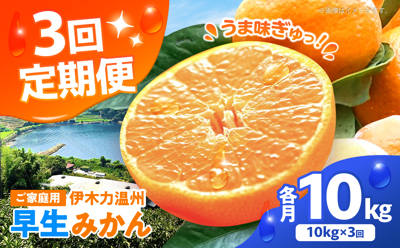 【3回定期便】伊木力温州みかん10kg (ご家庭用、箱入り)/ 伊木力 温州みかん 早生みかん　みかん ミカン 蜜柑 佐瀬 諫早 多良見 長崎 / 末永果樹園 [AHBD013]