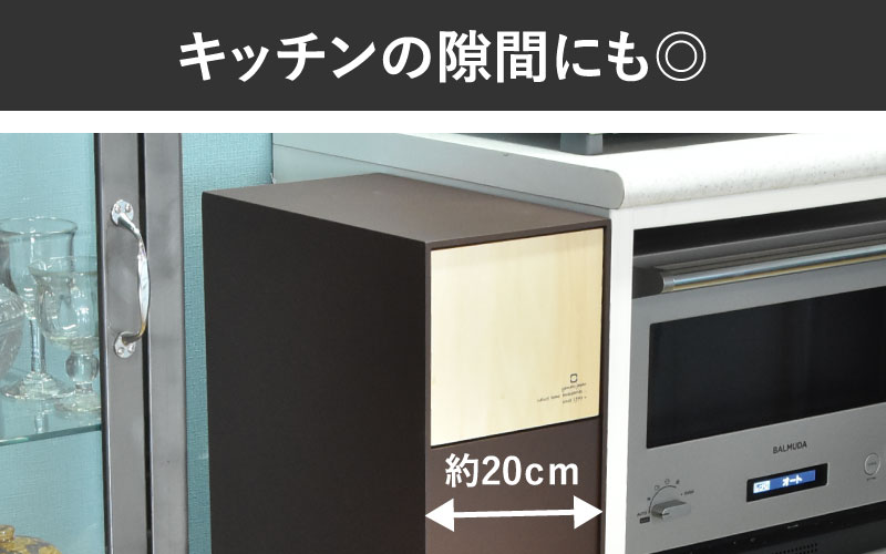 職人が仕上げた木製ゴミ箱「DOORS S」ホワイト