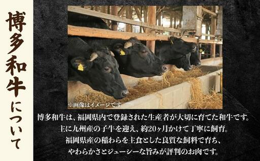 博多和牛 手作り餃子 80個（20個×4p）