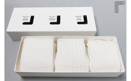 Tasting Cotton BOX/Sサイズ(22～24cm) / コットンソックス 3足 履き比べ///靴下 くつした くつ下 ソックス 足元 ビジネス シンプル カジュアル おしゃれ かわいい 