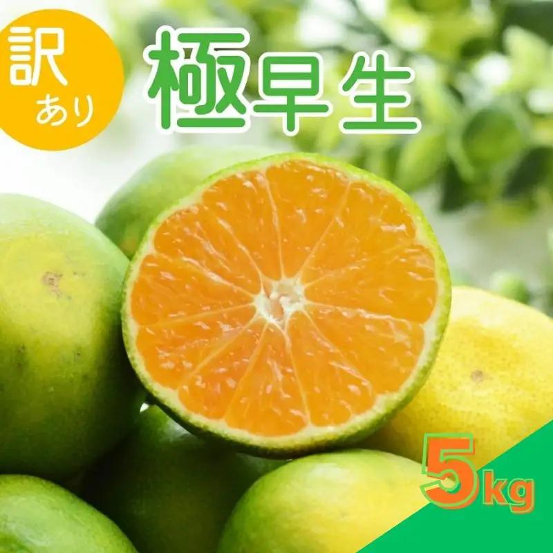 【2026年秋頃発送予約分】【訳あり】こだわりの極早生みかん 約5kg ※2026年10月～11月に順次発送予定サイズ混合 有田産 / みかん ミカン 有田みかん 和歌山  訳あり フルーツ 果実 柑橘 くだもの 果物 【nuk165B】