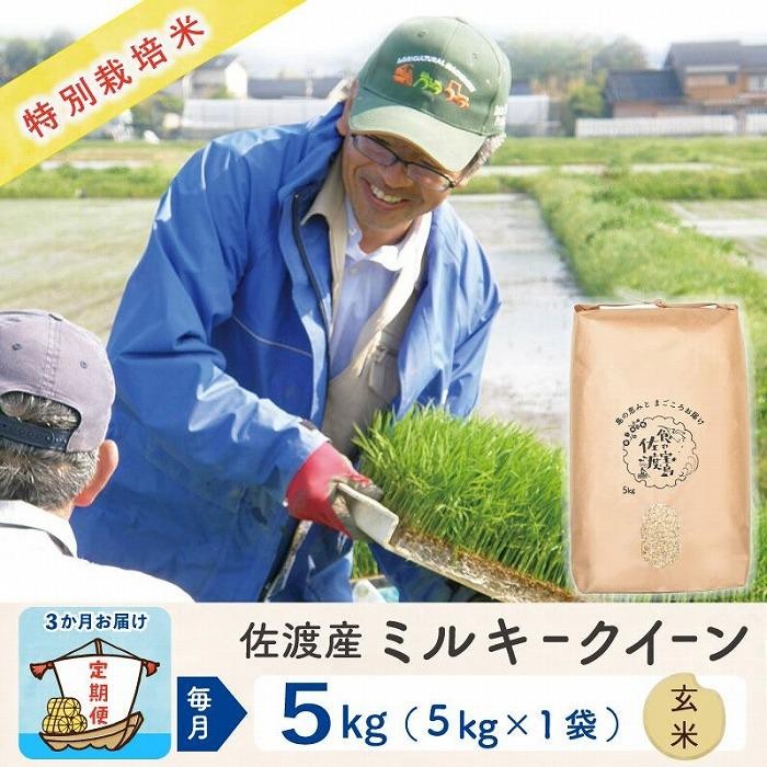 
                  【3か月定期便】佐渡島産ミルキークイーン 玄米5kg 令和7年産 特別栽培米
                