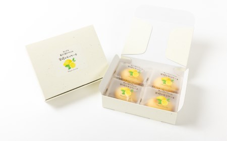 みやざきフードアワード審査員賞受賞「宮崎レモンケーキ」 4個入り2箱セット ケーキ レモンケーキ レモン スイーツ デザート 贈り物 贈答 ギフト プレゼント グルメ お取り寄せ 個包装 個装 個別包