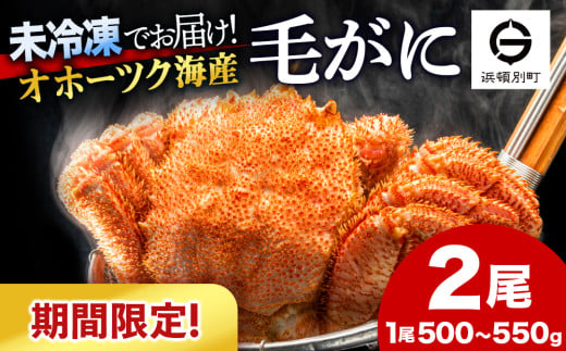 【期間限定】北海道産 毛がに 2尾 (１尾500g～550g)【株式会社シーグレイセス】浜頓別 塩茹で カニ