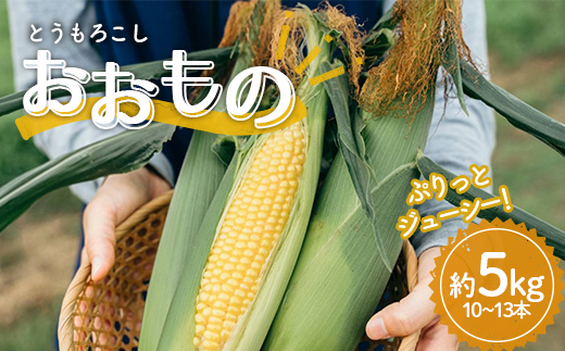 極上の甘さ！ とうもろこし 「おおもの」 10～13本（約5kg）  とうきび トウキビ トウモロコシ コーン 野菜 食品 F20C-933