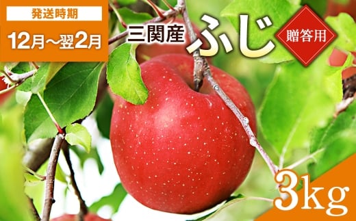 りんご 贈答用 ふじ（サンふじ） 3kg 果物 フルーツ サンふじ【田村果樹園】[B2-10802]