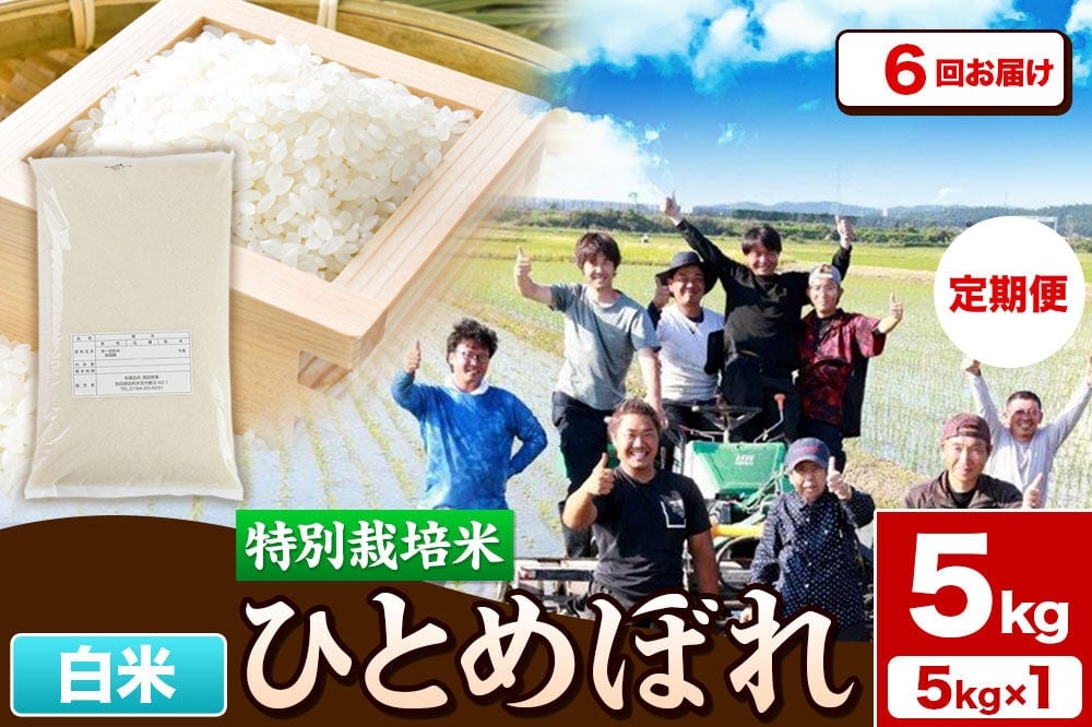 
                  《定期便6ヶ月》令和7年産【白米】特別栽培米 ひとめぼれ 5kg 秋田県産 [ひとめぼれ 米 お米 白米 精米 特別栽培米 ブランド米 食卓 秋田県産 秋田県 由利本荘市]
                