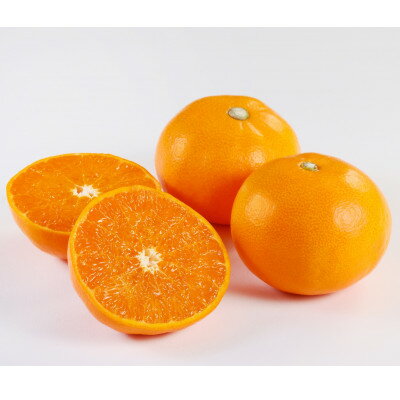 【ふるさと納税】せとか1.5kg(秀品)【C21-43】【1647048】