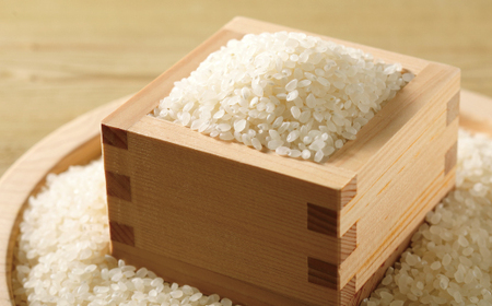 【令和7年産 数量限定】 四万十 の 米どころ 山間地域で育てた 大宮米 コシヒカリ 10kg 高知県 高知 しまんと 国産 お米 米 白米 精米 こしひかり 低農薬栽培 ご飯 産地直送 26-305