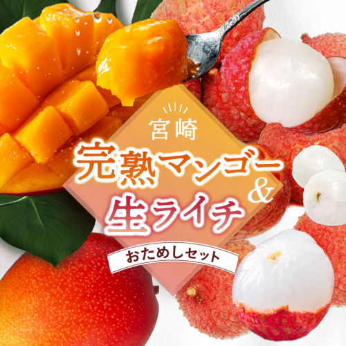 【先行予約/数量限定】希少 完熟マンゴー＆生ライチセット 宮崎県産 綾町産 果物 国産ライチ 高級 マンゴー 国産ライチ 産地直送 お中元