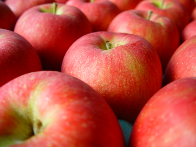 【アグリスタくましろ】シナノスイートSF　ご家庭用約3kg(6～12玉) 長野県 信州 南信州 高森町 りんご スマートフレッシュ