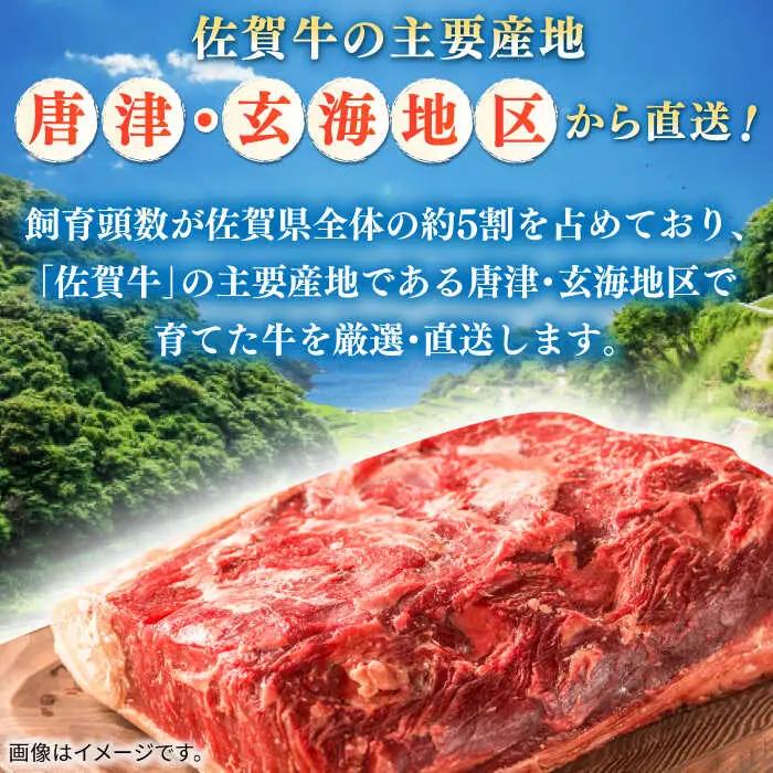 佐賀牛切り落とし 計1kg（250g×4パック） / 佐賀県 / 株式会社中山牧場 [41AOCW014]