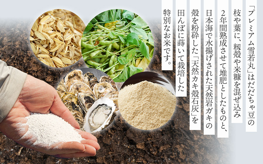 【冷凍】だだちゃ豆おむすび 10個 (プレミアム雪若丸精米使用） 冷凍おにぎり