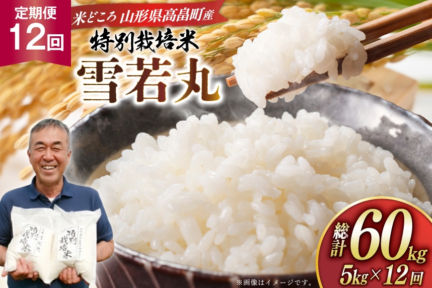 
                  米 定期便 12回 令和8年産 特別栽培米 雪若丸 5kg 12回 計60kg [渡部ファーム 山形県 高畠町 tk06ays810061] ふるさと納税 お米 おこめ こめ コメ 白米 精米 ごはん ご飯 ブランド米
                