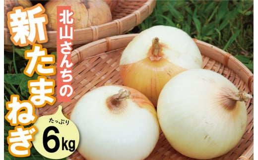 ★レビューキャンペーン対象★北山さんちの新たまねぎ 6kg 産地直送 新鮮 野菜 季節の野菜 旬 直送 玉ねぎ タマネギ 新玉ねぎ 国産 生がおいしい フレッシュ オニオン サラダ 玉ねぎステーキ オニオンスープ 甘み ジューシー お取り寄せ kn1