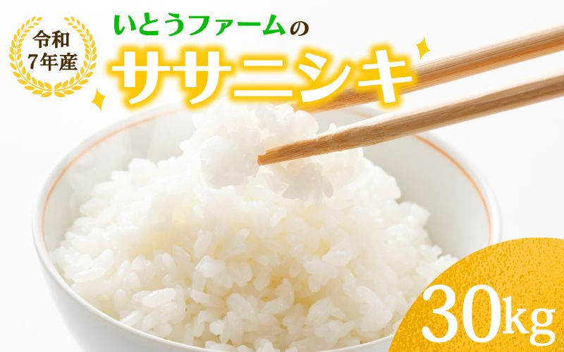 
            いとうファームの令和7年産「ササニシキ」30kg（30kg×1袋）選べる！玄米or白米 ※2025年11月より順次発送予定
          