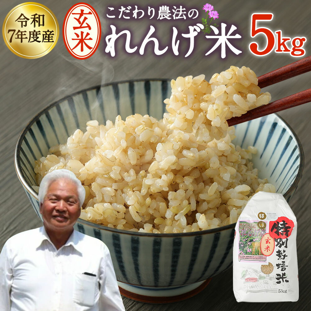 【ふるさと納税】【先行予約】化学合成農薬や化学肥料は栽培期間中不使用！ こだわり農法の「れんげ米」 5kg 1袋 玄米 お米 れんげ米 れんげ農法 ほんまもん農産物 お取り寄せ 大分県 臼杵市産 国産 送料無料