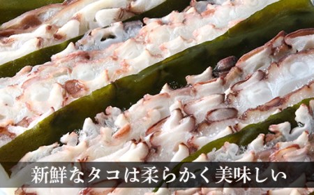 たこしゃぶ約600g(3～4人前)タレ・昆布付き【斉藤水産】