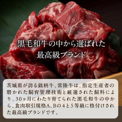 ふるさと納税 行方市 常陸牛 牛丼の具 5袋 |  | 03