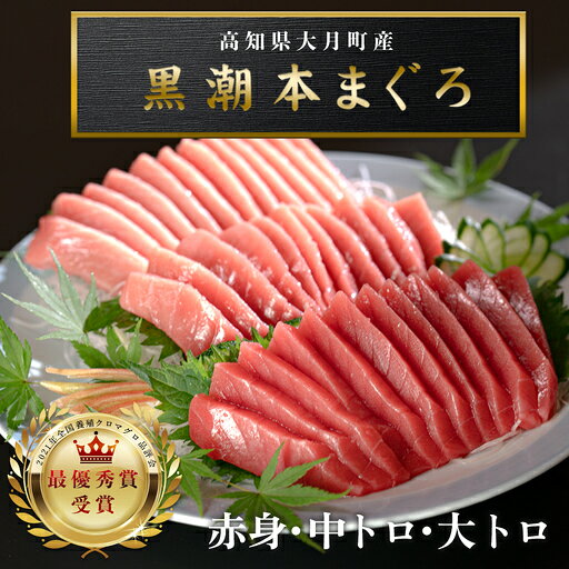 【ふるさと納税】 訳あり 不定貫 国産 養殖本マグロ 大トロ・中トロ・赤身 3種 計400g 黒潮本まぐろ 最優秀賞受賞 柵 刺身用 本マグロ 本鮪 鮪 まぐろ お刺身 さしみ 大トロ トロ 中トロ 赤身 海鮮丼 漬け丼 手巻き寿司 鉄火丼 1万5千円