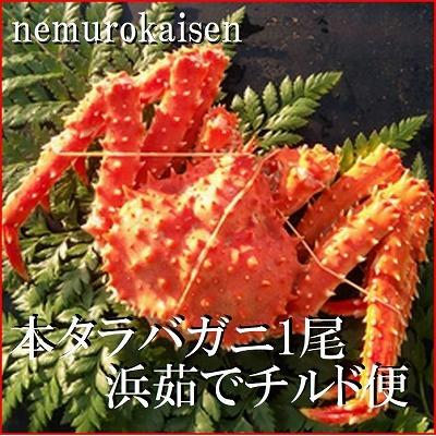 ふるさと納税 根室市 【北海道根室産】本タラバガニ700g前後 C-57060