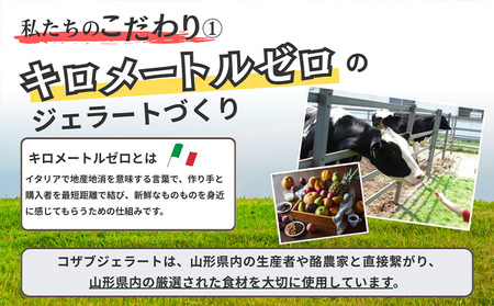 COZAB GELATO 訳あり 大容量 ひとりじめサイズ 2個セット FY25-276