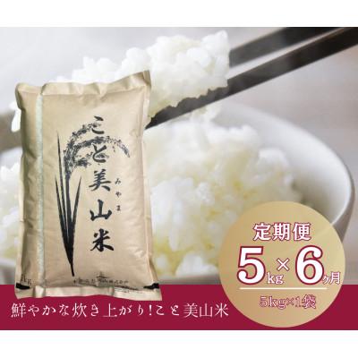 ふるさと納税 南丹市 【毎月定期便】にじのきらめき 精米 5kg(5kg×1袋)美山町産 こと美山米全6回