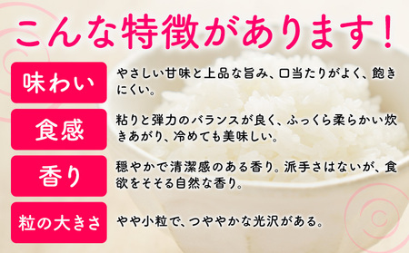 【12ヶ月定期便】夢つくし 令和7年産 米 20kg 白米《お申込み翌月から出荷》 福岡県 小竹町 お米 白米 国産