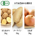 【ふるさと納税】小笠原農園の有機野菜3種詰合せ（きたあかり3kg・メークイン3kg・玉ねぎ3kg）【北海道十勝幕別】≪2024年秋出荷先行予約≫　【野菜・じゃがいも・玉ねぎ・たまねぎ・タマネギ・セット・詰合せ】　お届け：2024年9月下旬～12月下旬