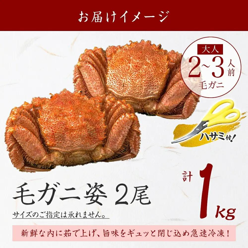 毛蟹 2尾 計1kg前後 食べ方ガイド・専用ハサミ付 カニ かに 蟹 海鮮 ボイル 送料無料 北海道 弟子屈町 3319