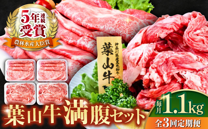 
【全3回定期便】葉山牛満腹セット（肩ロースすき焼用250g×2＋切落し300g×2） 小分け 牛肉 すきやき 冷凍 切り落とし 横須賀 計1.1kg【株式会社羽根】 [AKAG042]
