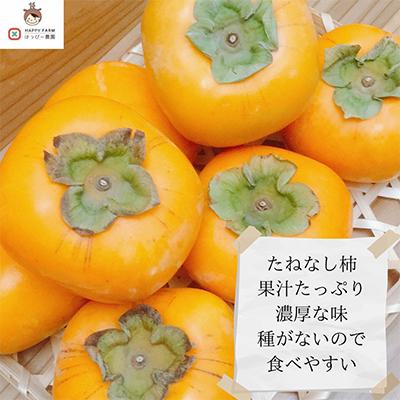ふるさと納税 天理市 【令和7年10月下旬から発送】たねなし柿L〜2Lサイズ(16〜18個入り)