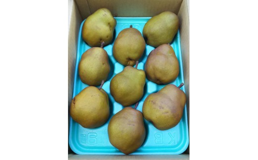 西洋梨（ゴールドラ・フランス）３ｋｇ　ご家庭用　0017-2622