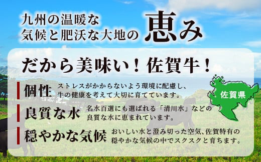 【3回定期】佐賀牛ヒレシャトーブリアン200g×2枚　M-11