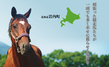 【引退競走馬 余生支援】北海道 岩内町 ホーストラスト北海道支援 500万円コース 引退馬 F21H-571