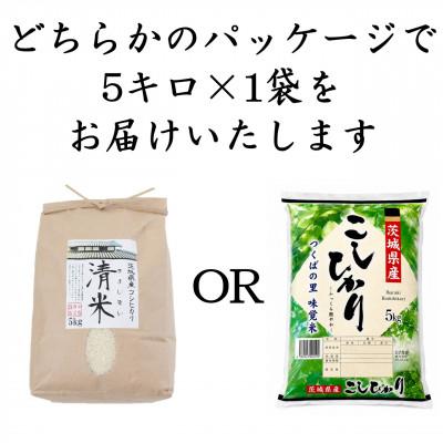 ふるさと納税 つくばみらい市 新米令和8年産 茨城県産 お米 こしひかり 5kg(5kg×1袋) 精米 |  | 01