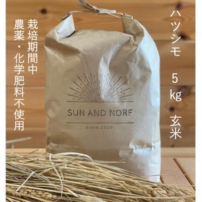 ふるさと納税 養老町 【令和7年産】初霜(原種)　玄米5kg　(栽培期間中農薬・化学肥料不使用)