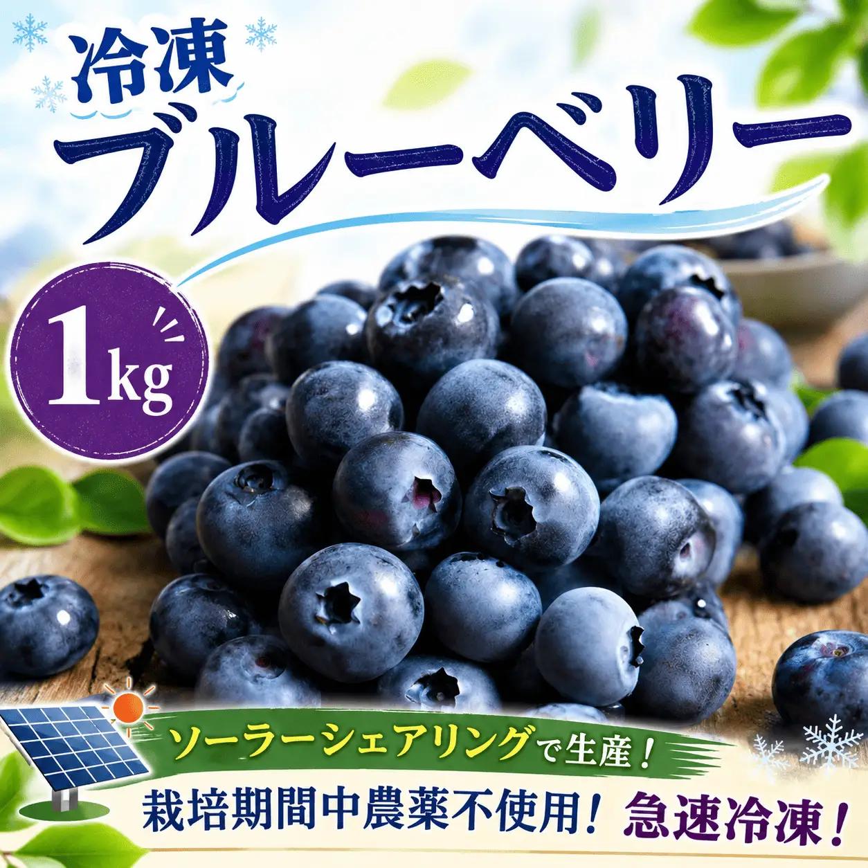 【冷凍ブルーベリー】冷凍ブルーベリー 1kg ［ENS002］