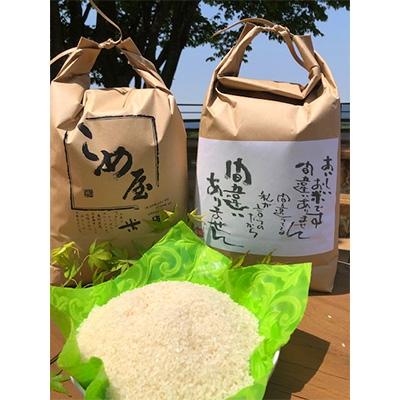 ふるさと納税 玉名市 熊本県産ヒノヒカリ(精米) 5kg×2個