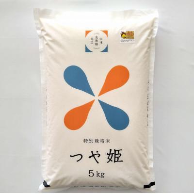 ふるさと納税 浜田市 浜田市弥栄町産の美味しいお米「秘境奥島根弥栄」つや姫　栽培期間中農薬5割減　5kg