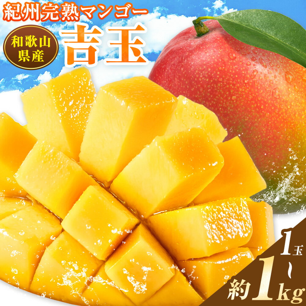【ふるさと納税】和歌山県産 紀州 完熟 マンゴー 『吉玉』選べる 1玉 2玉 約1kg 株式会社松源 【日付指定不可】《7月中旬-9月上旬頃出荷》和歌山県 岩出市 マンゴー 完熟 送料無料 【配送不可地域あり】