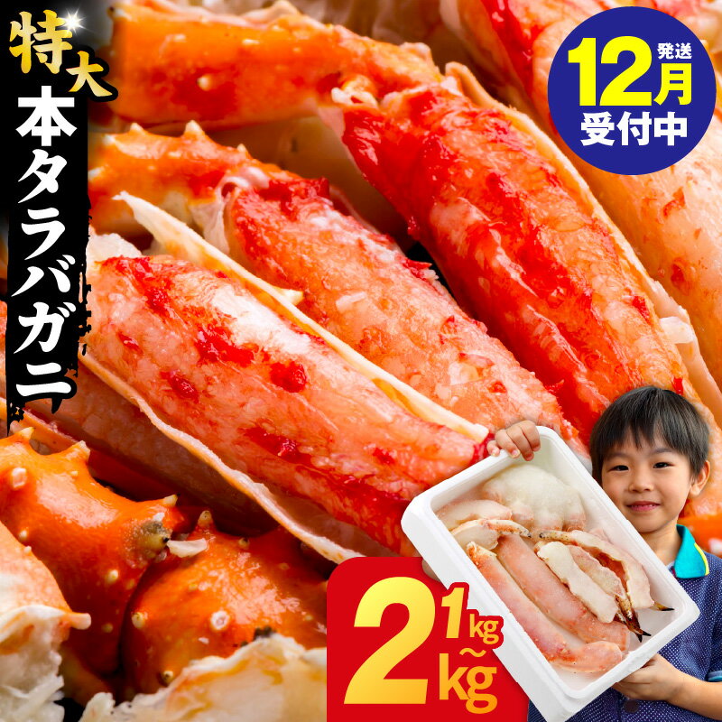 【ふるさと納税】【年内発送受付中】タラバガニ 特大 選べる 1kg / 2kg 訳あり 規格外 サイズ不揃い ボイル済 脚 簡単 弾力 カニ鍋 焼きガニ カニ雑炊 魚介類 海の幸 海鮮 冷凍 ランキング急上昇中 発送月 大阪府 泉佐野市 送料無料