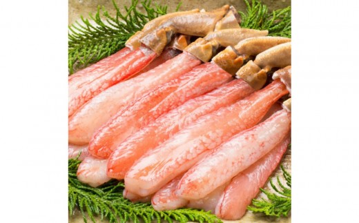 生本ズワイガニ棒肉ポーション500g×2 | ズワイガニ ずわいがに 蟹 かに カニ ポーション 棒ポーション 剥き身 むき身 殻むき済み 食べやすい  海鮮 魚介 魚介類 カニ鍋  冷凍 保存 家庭用 お取り寄せ グルメ 人気 おすすめ 境港 鳥取県 境港市