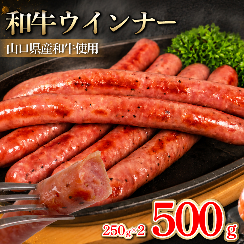 和牛ウインナー 500g 小分け 和牛100％ ソーセージ ウインナー 500g ( 250g × 2個 )