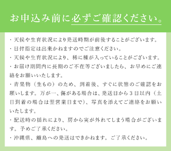 【2025年先行予約】北杜市白州　名水の里の特選シャインマスカット　約1kg(2房)　贈答にもおススメ シャインマスカット 特選 ブドウ 約1kg 2房 数量限定 名水の里 ぶどう フルーツ 果物 く