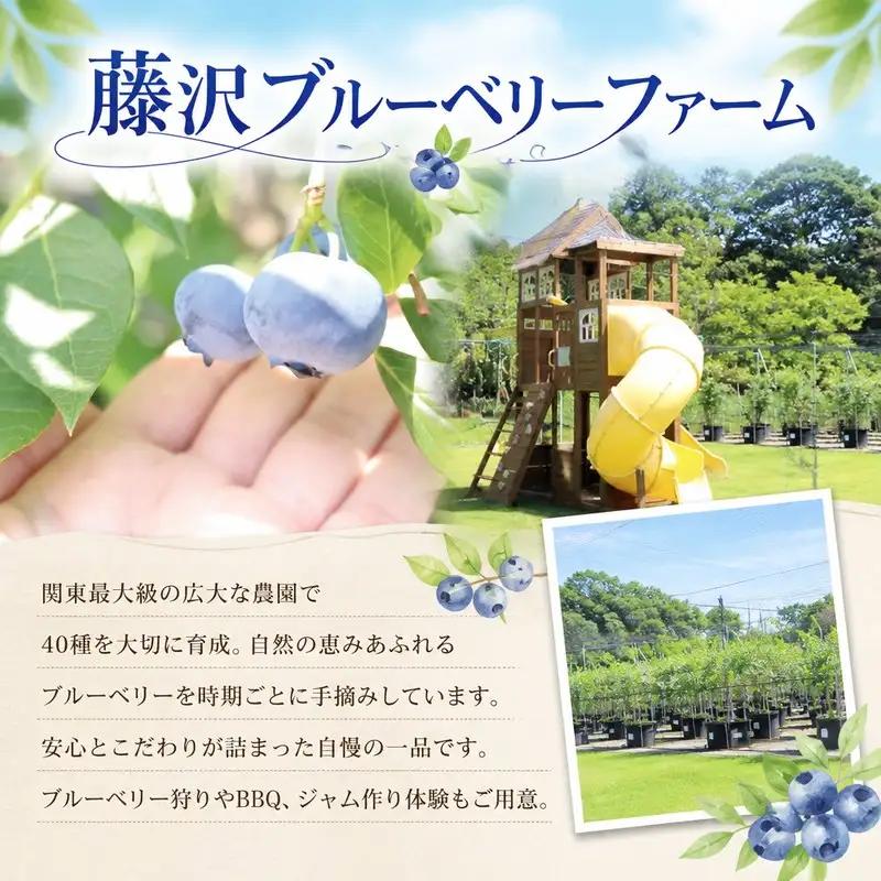 ブルーベリー ギフトセット 【ブルーベリー】