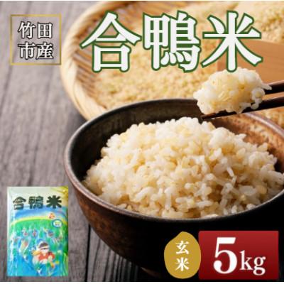 ふるさと納税 竹田市 竹田市産　合鴨米 玄米5kg