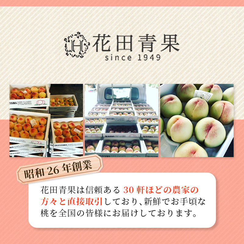 【2026年先行予約】 岡山県産 白皇 2kg 化粧箱入り・贈答用 高級 白桃 はくおう 花田青果【8月中旬～9月初旬まで順次発送予定】/ 桃 もも モモ 果物フルーツ 贈答品 贈り物 岡山県【hnd